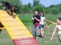 agility_photo_2
