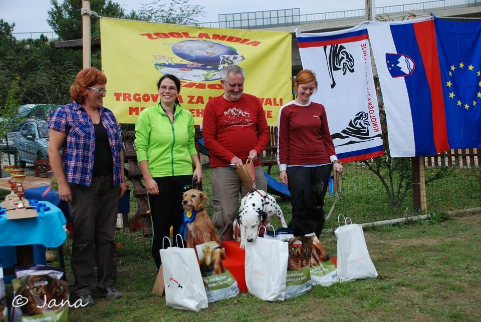 1381697_10151951419501068_1107079200_n