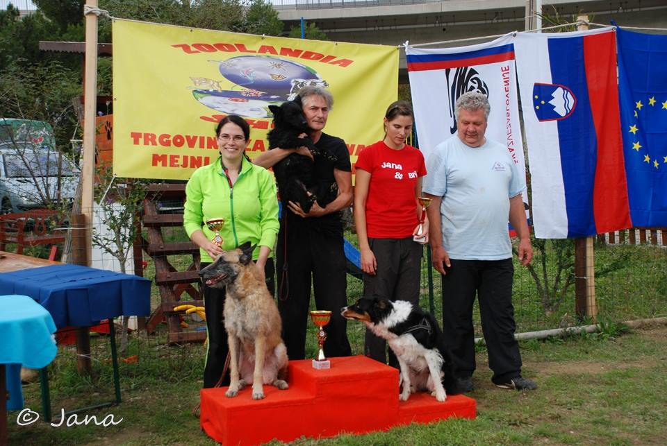 1381957_10151951420796068_1931997721_n