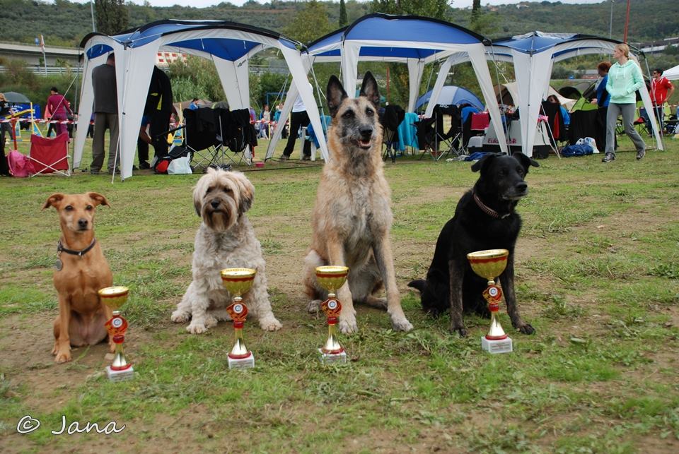 1385539_10151951421271068_391746915_n