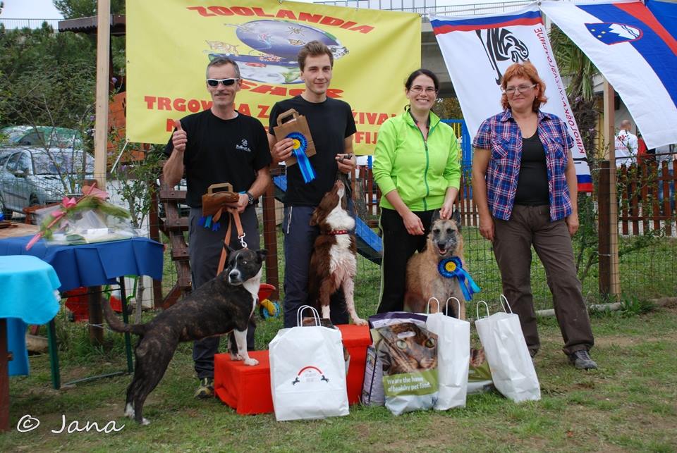 1390782_10151951420071068_1775891606_n