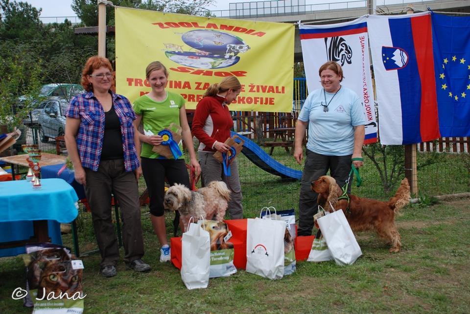 1391868_10151951419781068_404761197_n